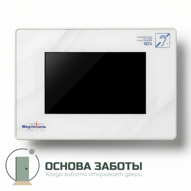 Индукционная система портативная ВЕГА-2